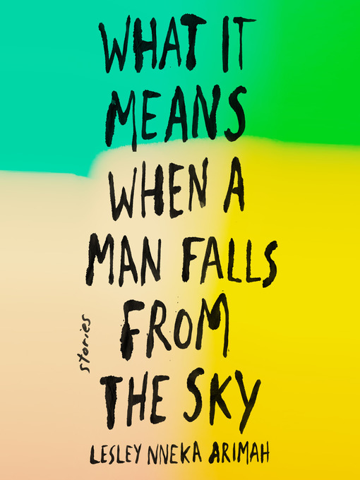 Cover image for What It Means When a Man Falls from the Sky